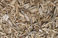 biomass boilers Maer